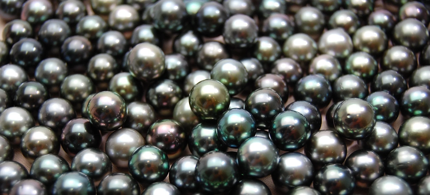 Les perles de Tahiti: les perles rares par excellence - Blogue