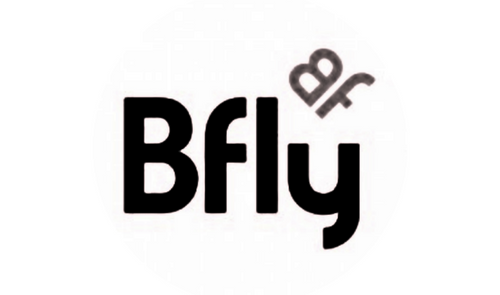 B Fly