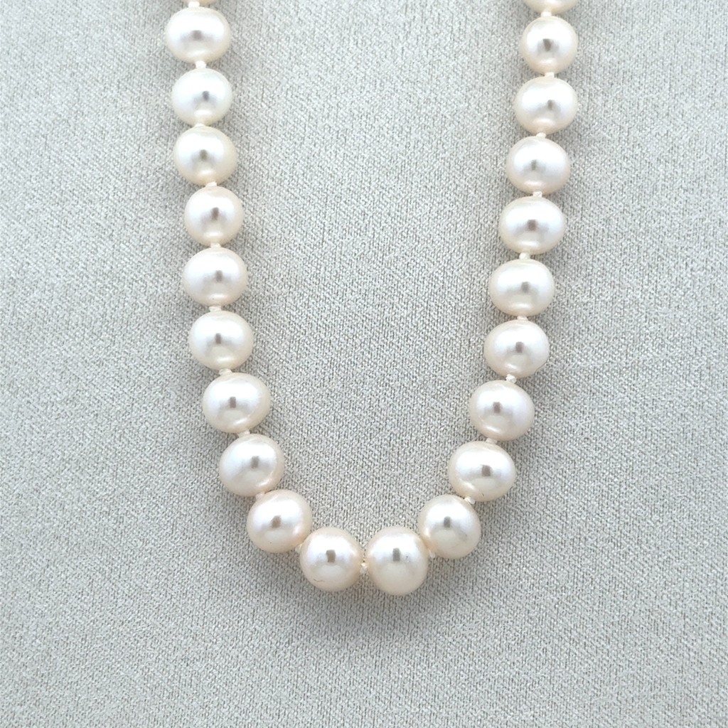 Collier or jaune 10 carats, perles d'eau douce 6.5-7 millimètres