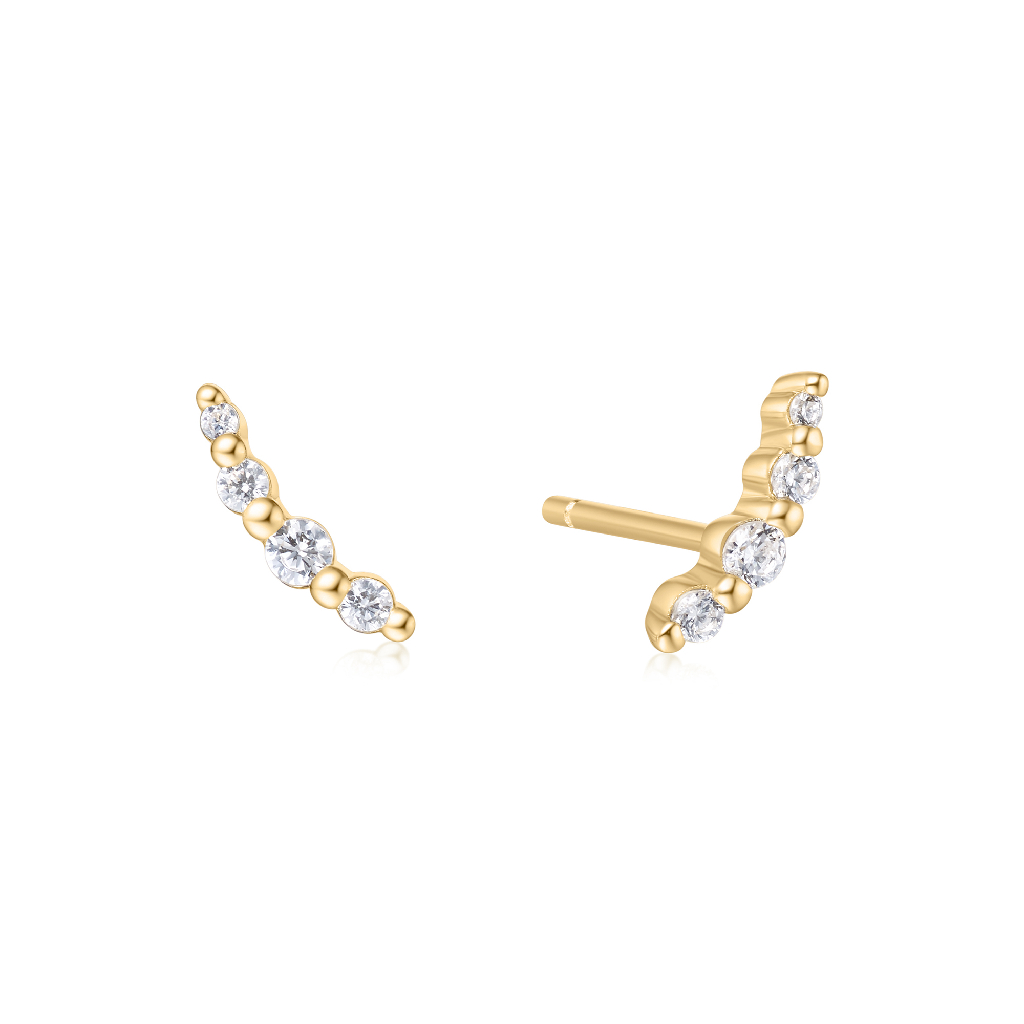 Stud earrings in sterling silver with zircon and zircons