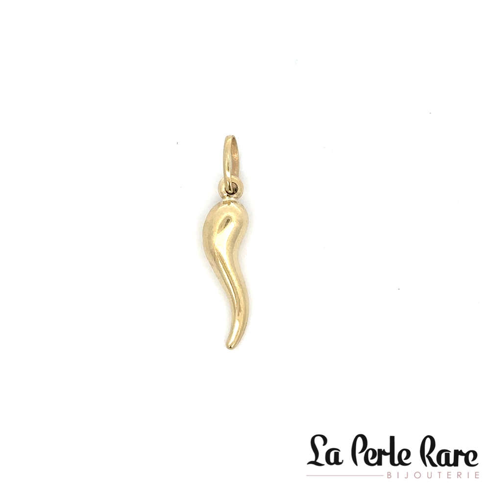 Pendentif corne d'abondance, or jaune 10 carats - LPR-2867 - Exclusivités