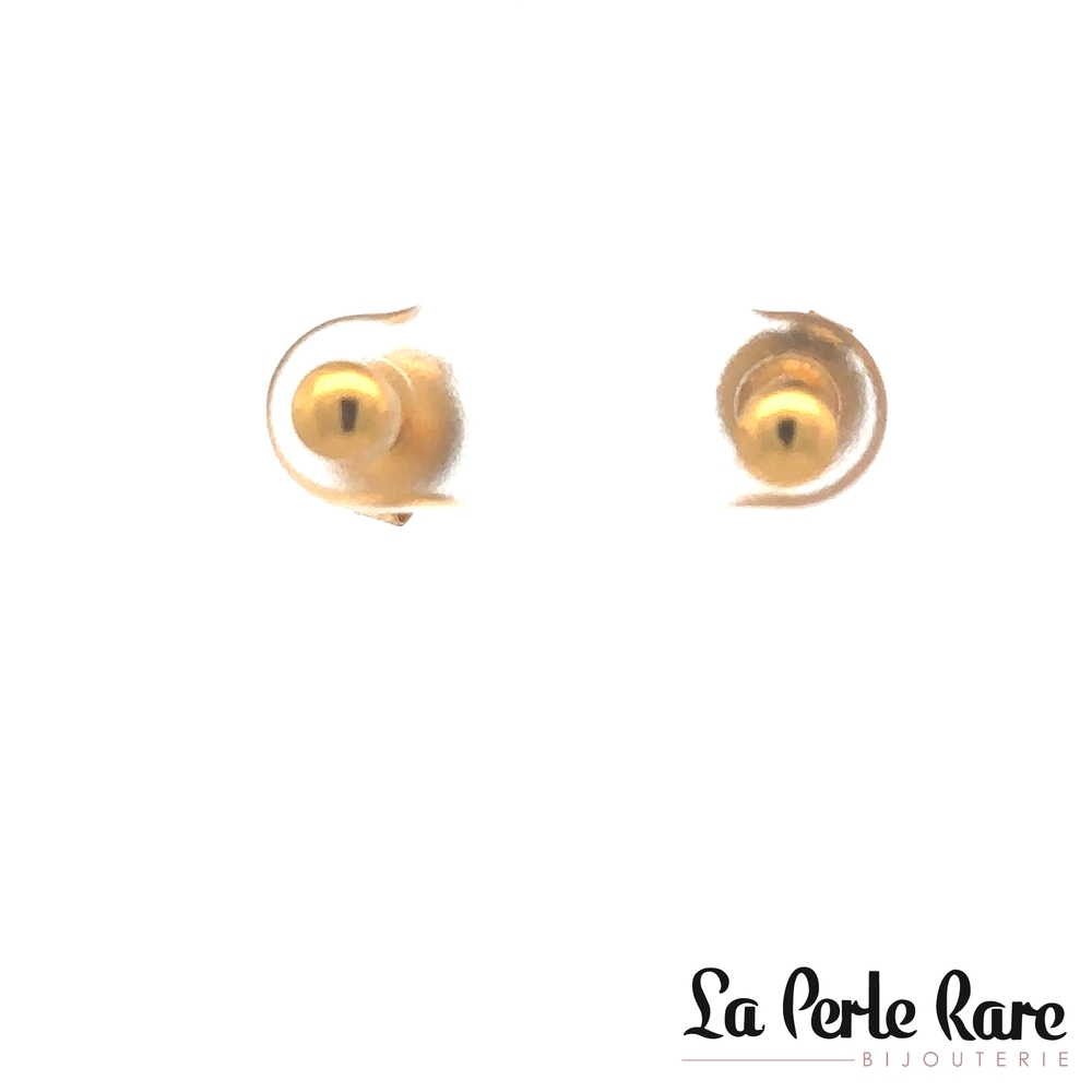 Boucles d'oreilles fixes acier inoxydable doré - LPR-2724 - Exclusivités