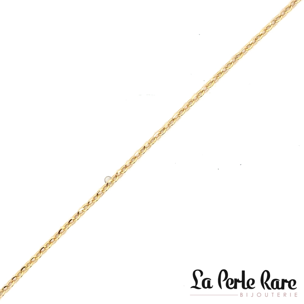 Chaîne de cheville rolo, or jaune 10 carats - LPR-2897-10 - Exclusivités