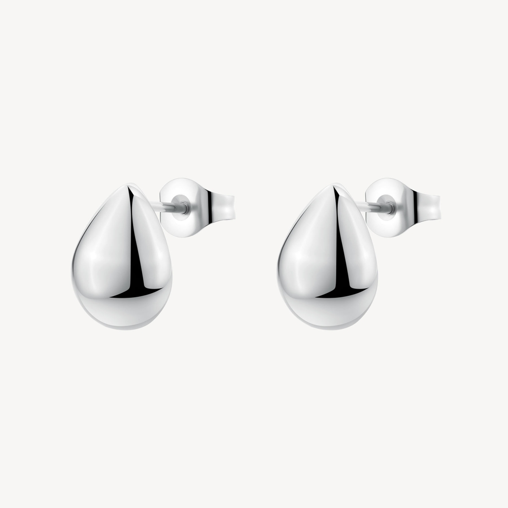 Boucles d'oreiles fixes acier inoxydable - BPC40 - Brosway Italia