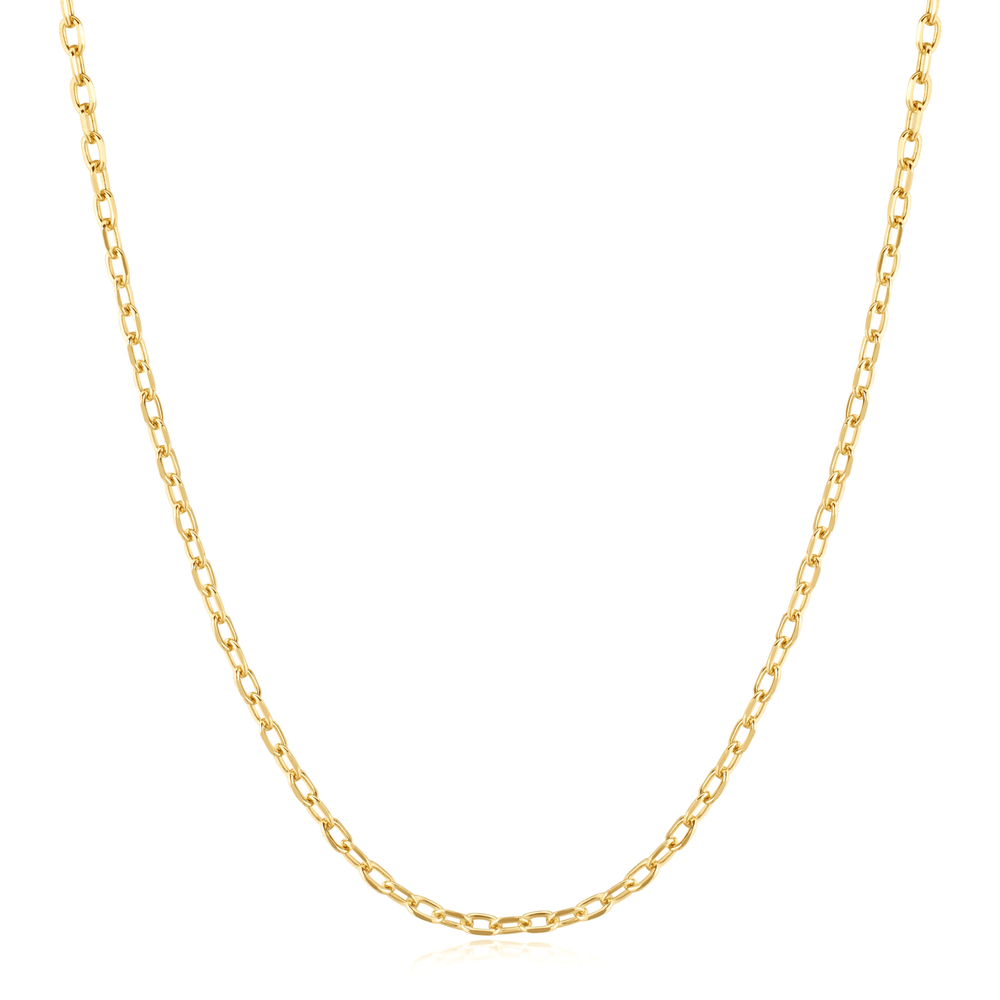 Collier argent doré - N060-03G - Ania Haie