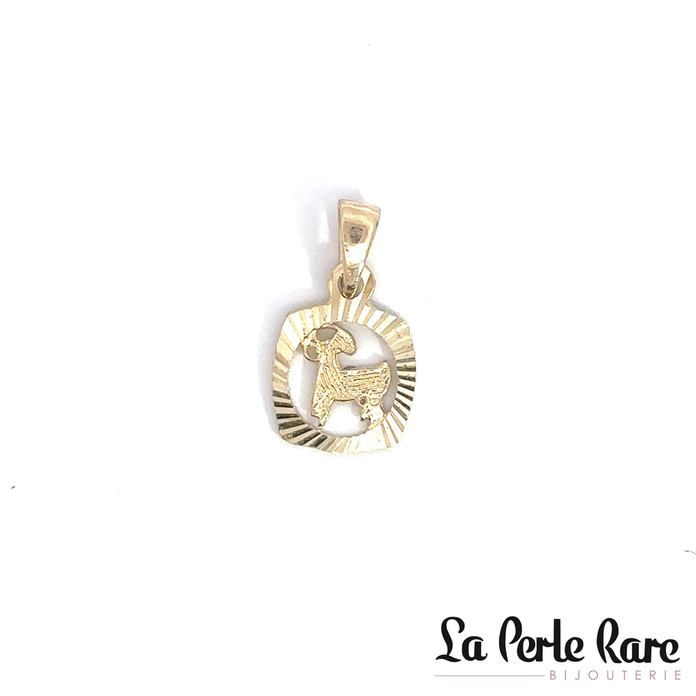 Pendentif zodiaque Capricorne, or jaune 10 carats - LPR-2754-CAPRI - Exclusivités