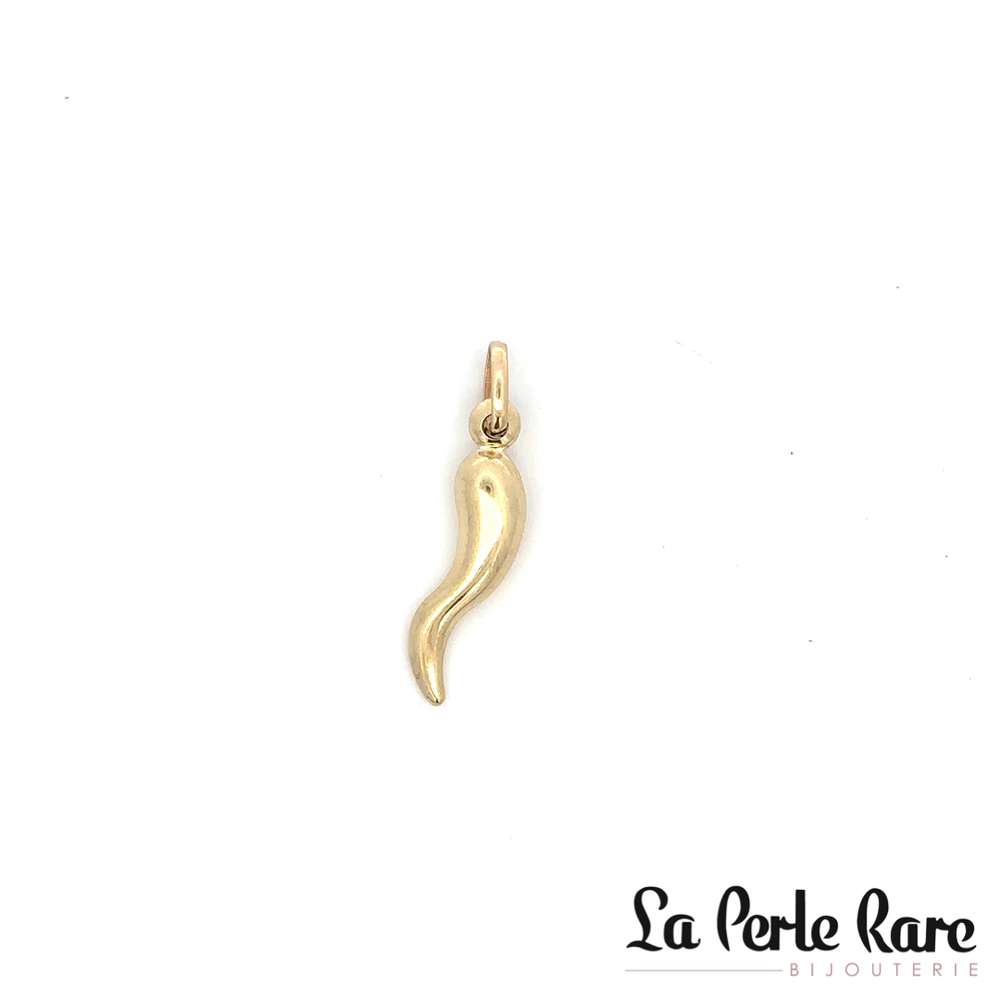 Pendentif corne d'abondance, or jaune 10 carats - LPR-2866 - Exclusivités