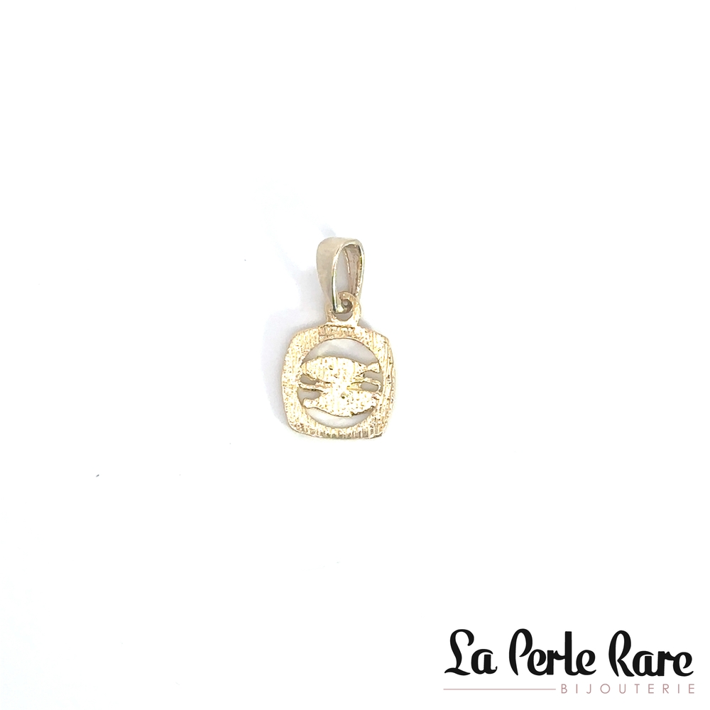 Pendentif zodiaque Poisson, or jaune 10 carats - LPR-2754-POISS - Exclusivités