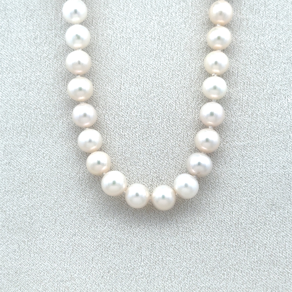 Collier or blanc 14 carats, perles d'eau douce 6.5 millimètres