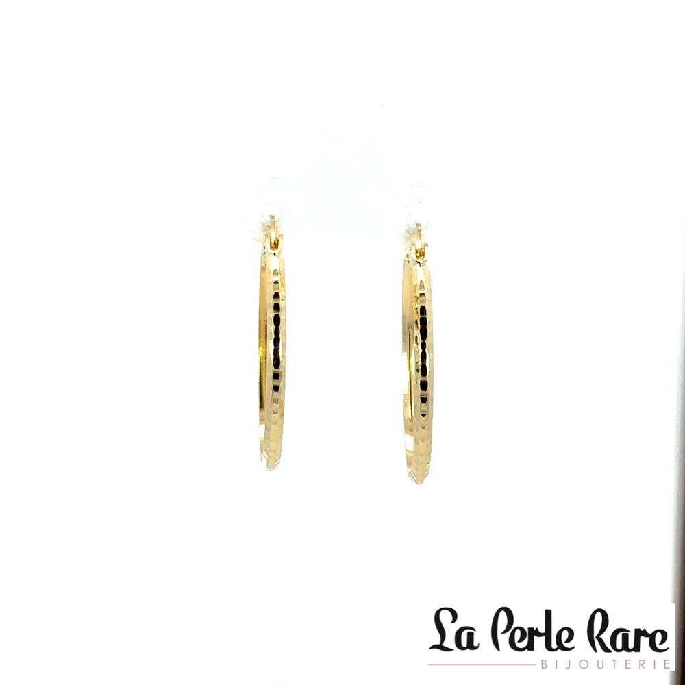 Anneaux ovales texturés, or jaune 10 carats - LPR-2862 - Exclusivités