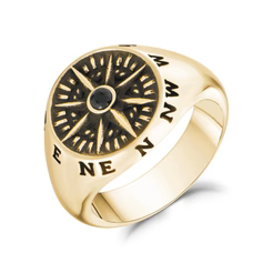 Bague chevalière, étoile du nord, acier inoxydable 2 tons (jaune/blanc), zircon noir - AS-R133G-9 - Arz Steel