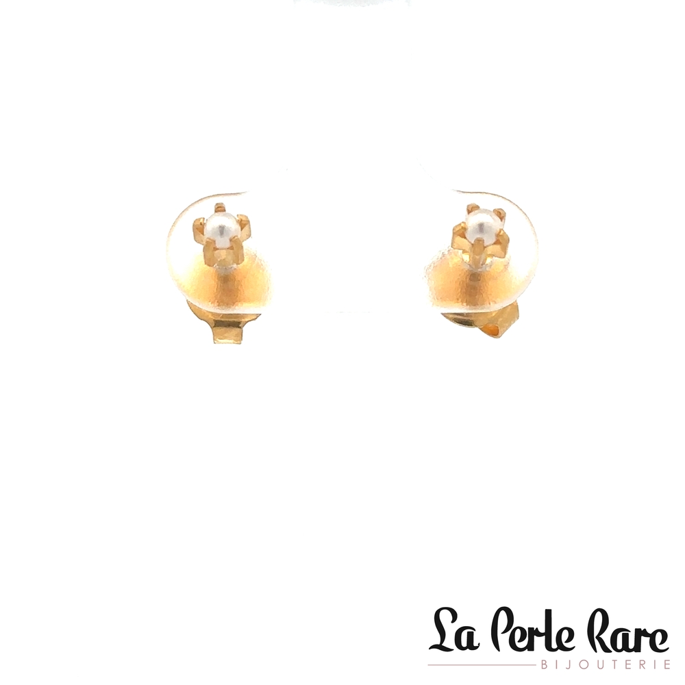 Boucles d'oreilles fixes étoiles, acier inoxyable doré, perles - LPR-2730 - Exclusivités