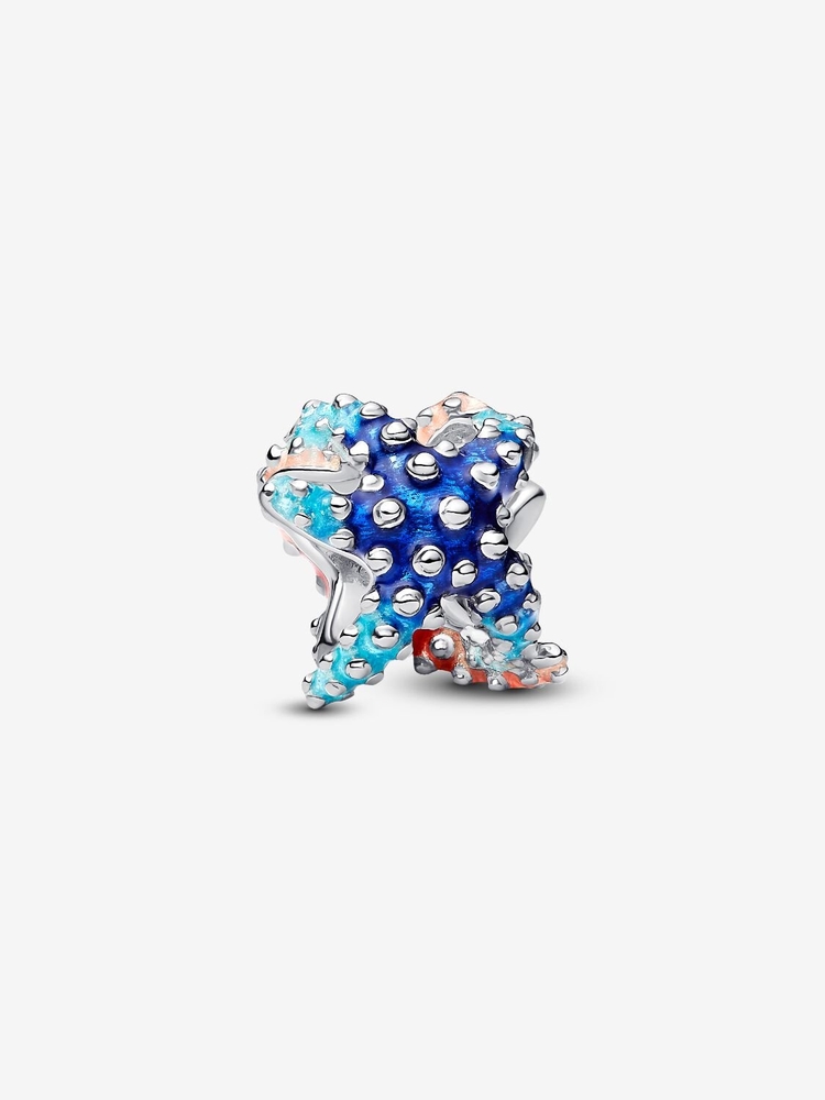  - 793817C01 - Pandora