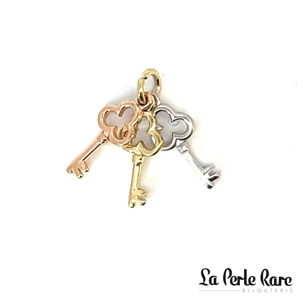 Pendentif clés, or 3 tons (jaune/blanc/rose) 10 carats - PAZ-3011-3T - Exclusivités